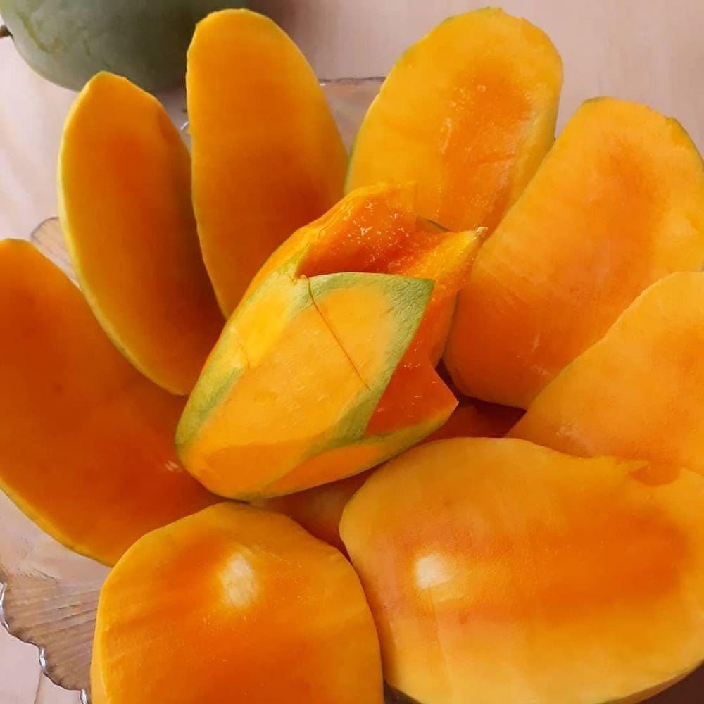 instagram.com/bibit_dan_tanaman_buah