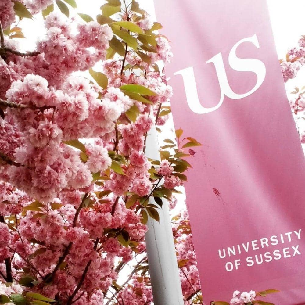 instagram.com/sussexuni