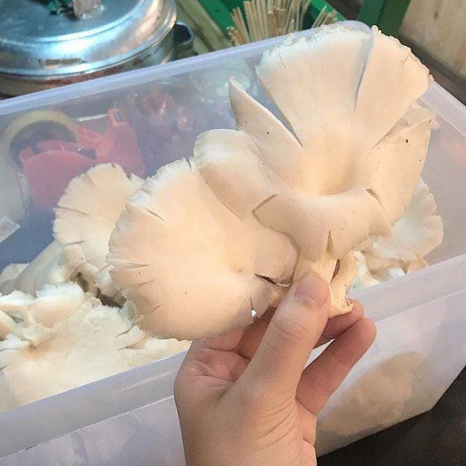 instagram.com/segonjamoer.jogja