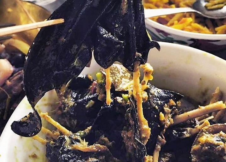 picdeer.com/irma_jacob