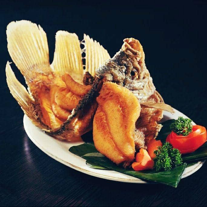 instagram.com/todays.lunch