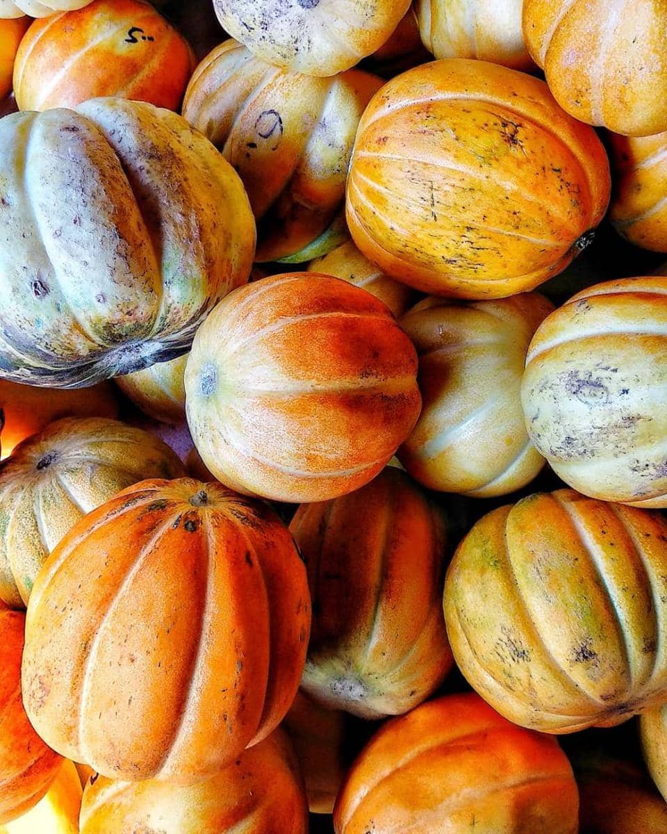 instagram.com/jawir121