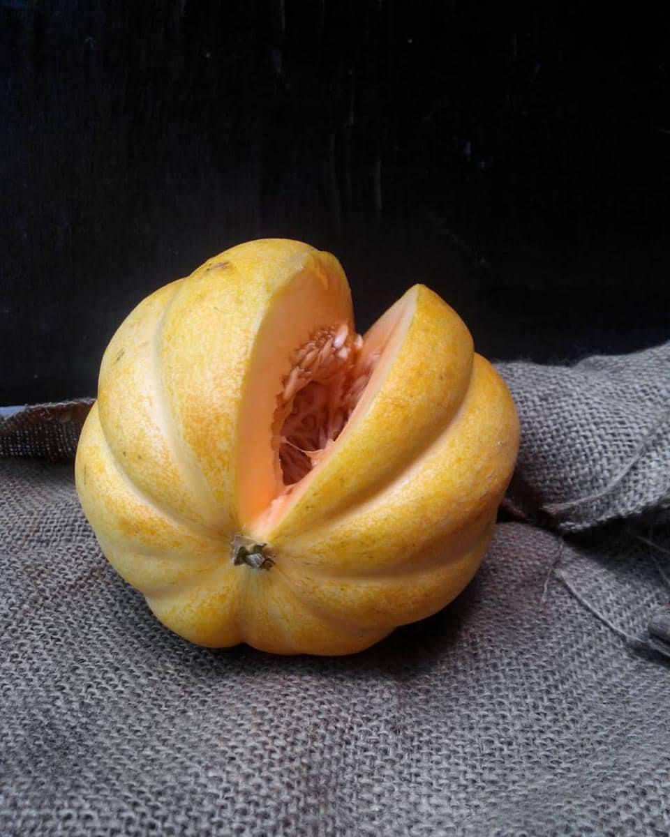 instagram.com/zaa_zakiyah