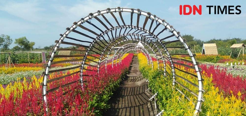 IDN Times/Daruwaskita