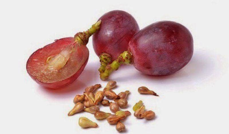 inilahtasik.com/Redaksi