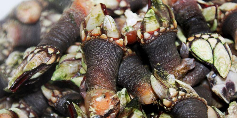 mylisbonholidays.com