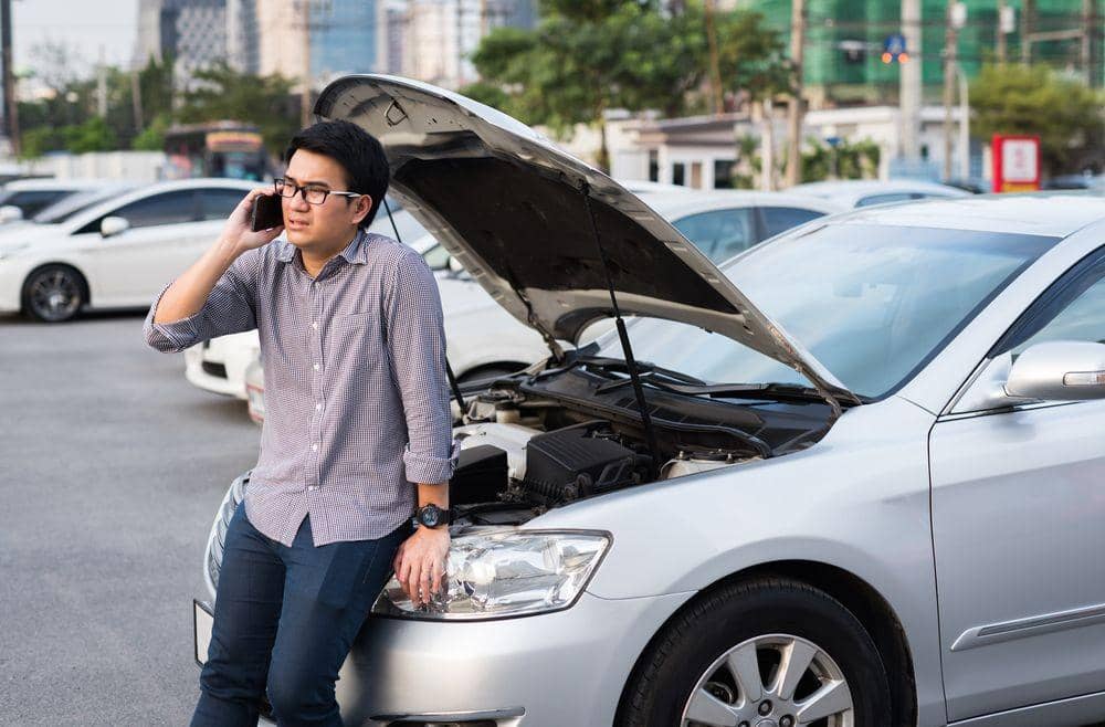 Shutterstock/Nopphon_1987