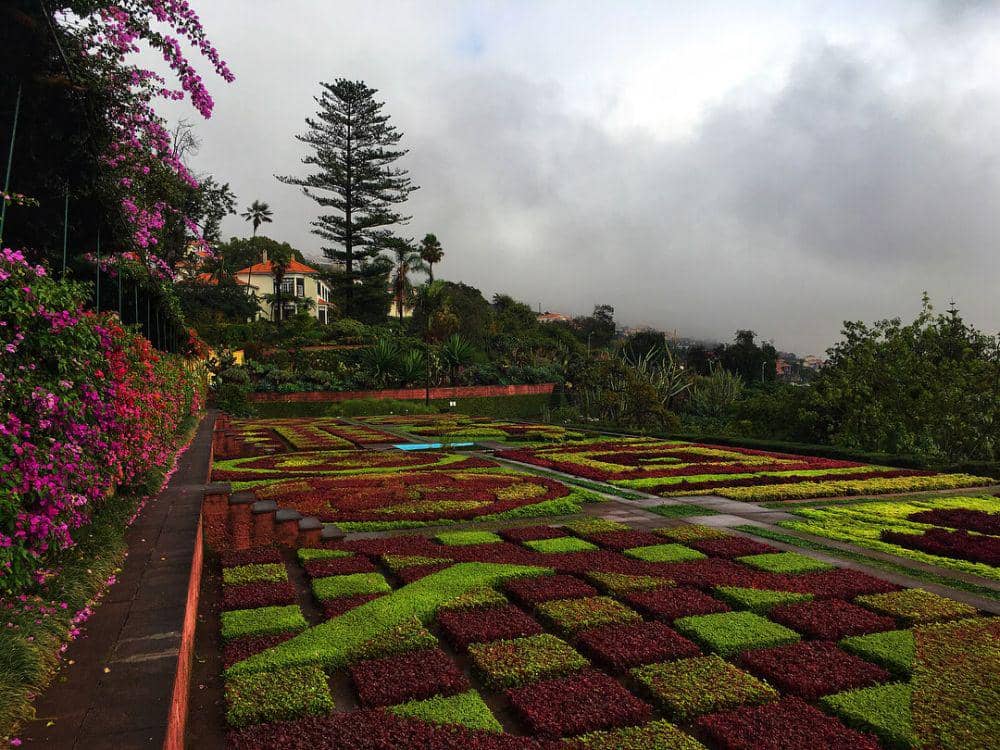 instagram.com/missmonicasalvi/