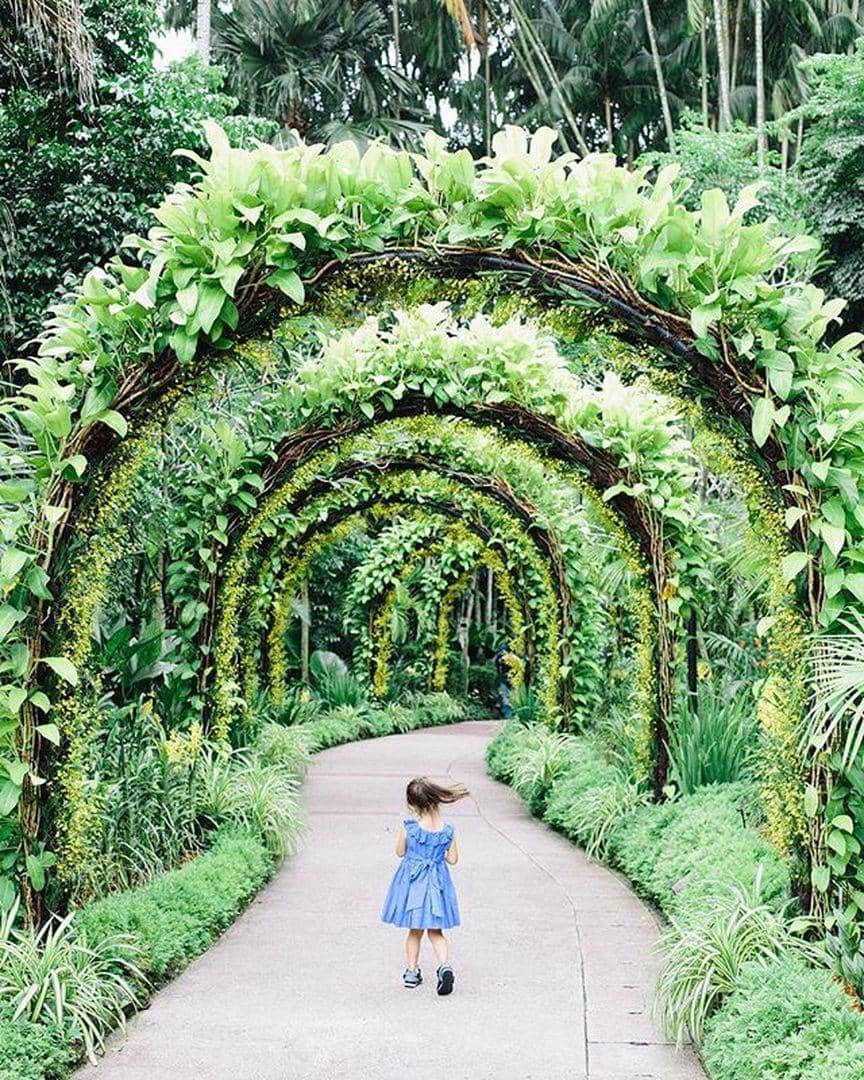 Instagram/singaporeworld