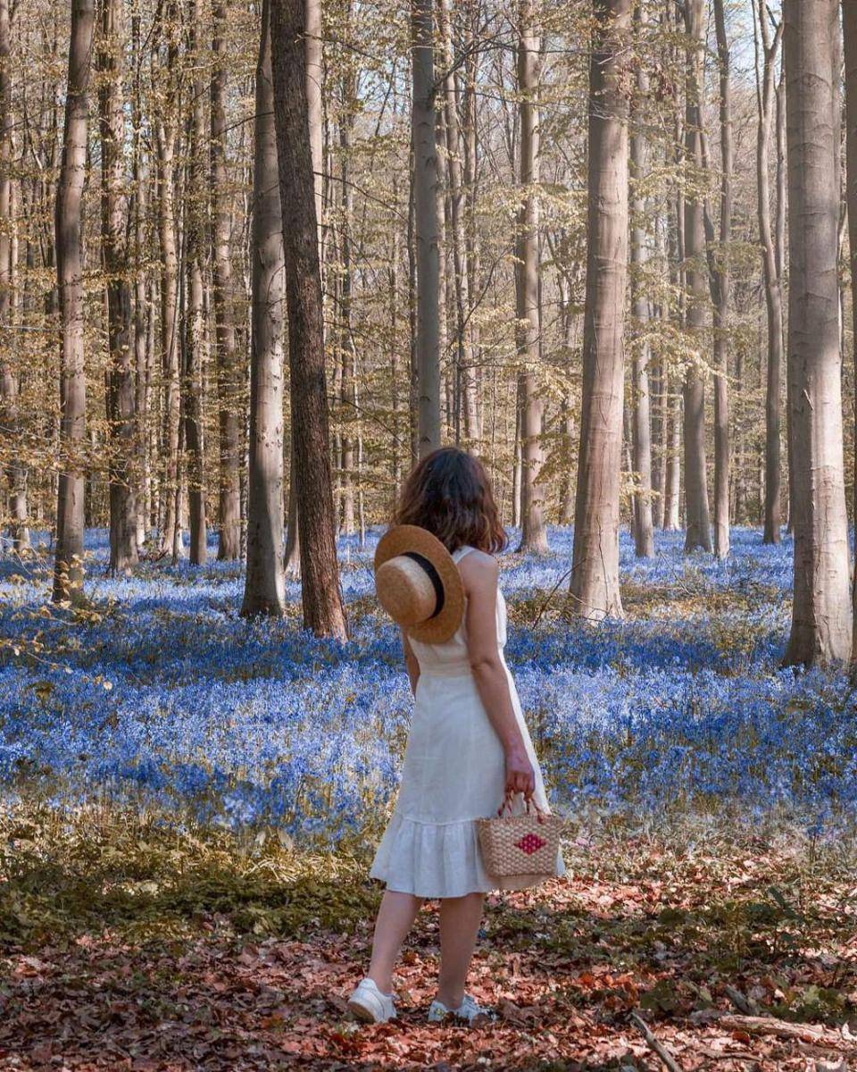 instagram.com/_walkcatwalk_