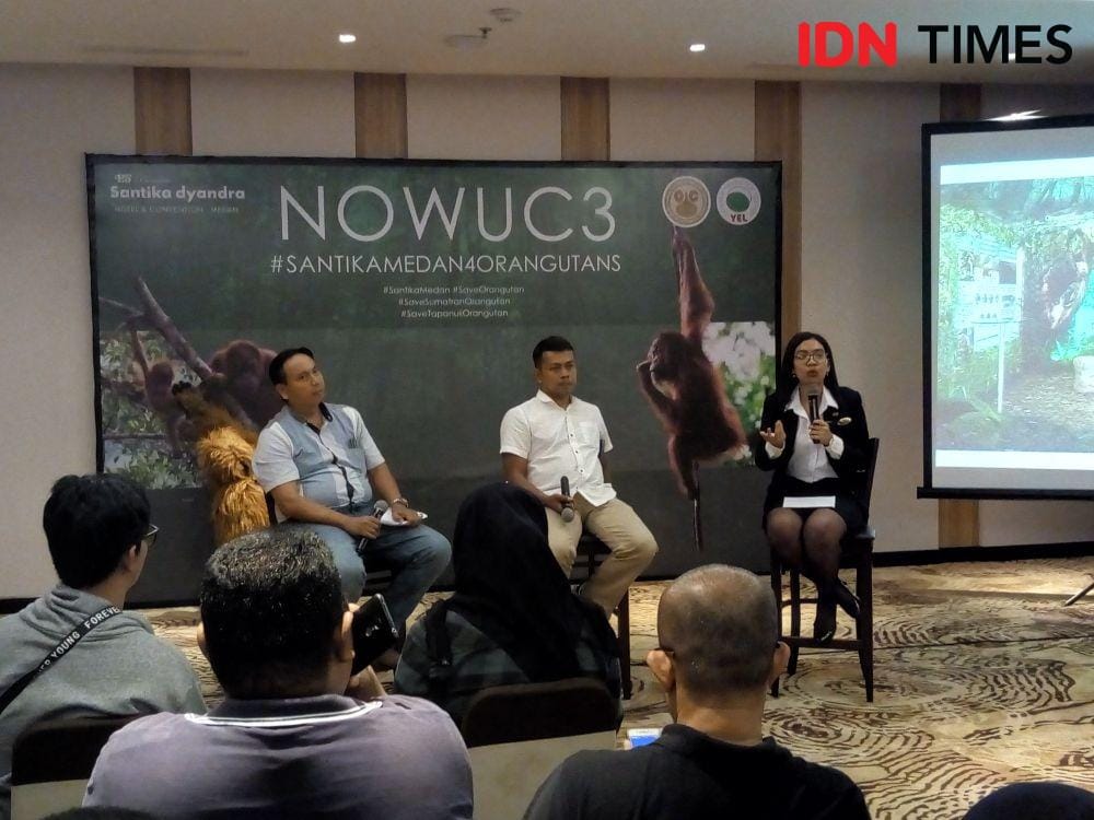 IDN Times/Arifin Al Alamudi