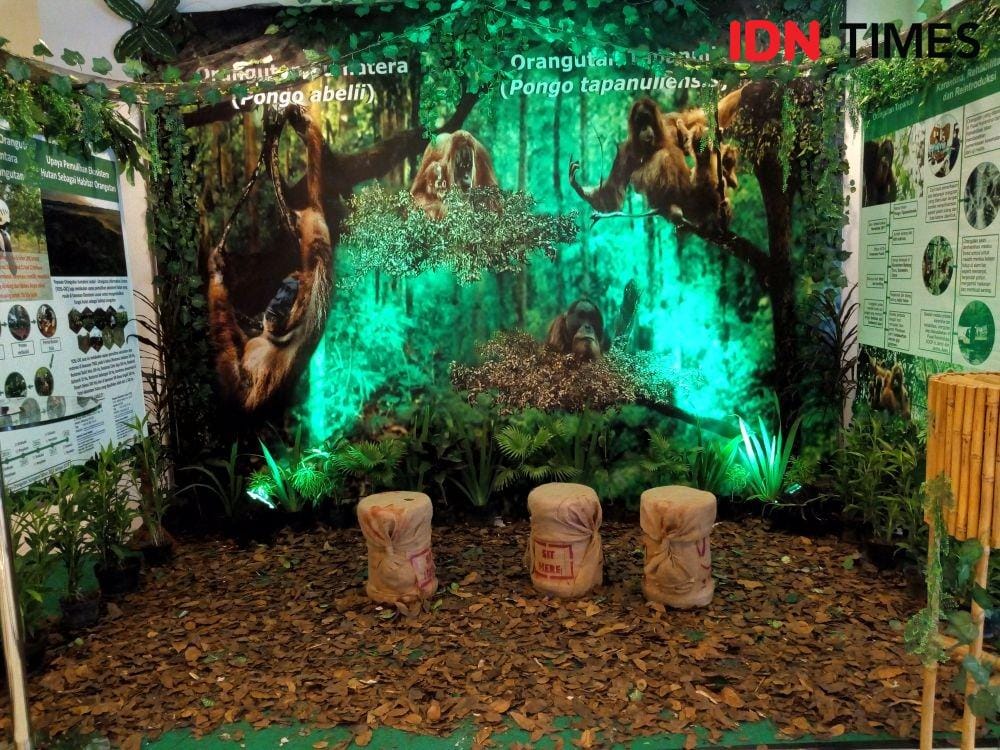 IDN Times/Arifin Al Alamudi