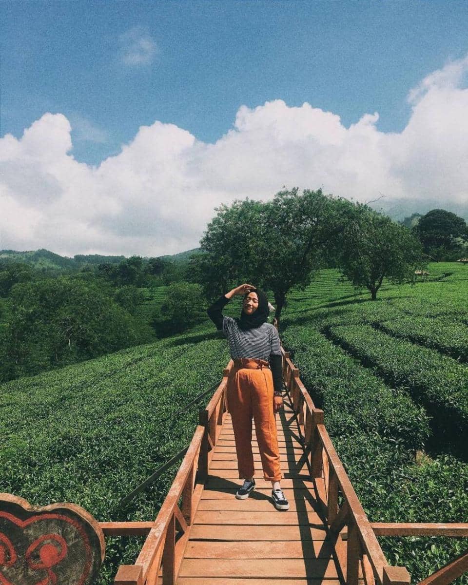 instagram.com/sandraaarp