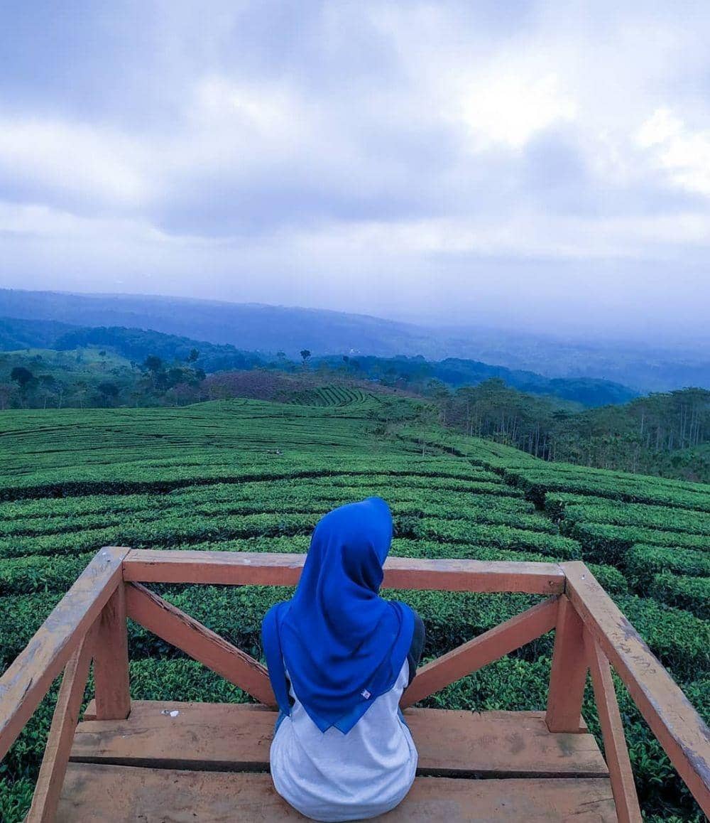 instagram.com/sleepyheadbear