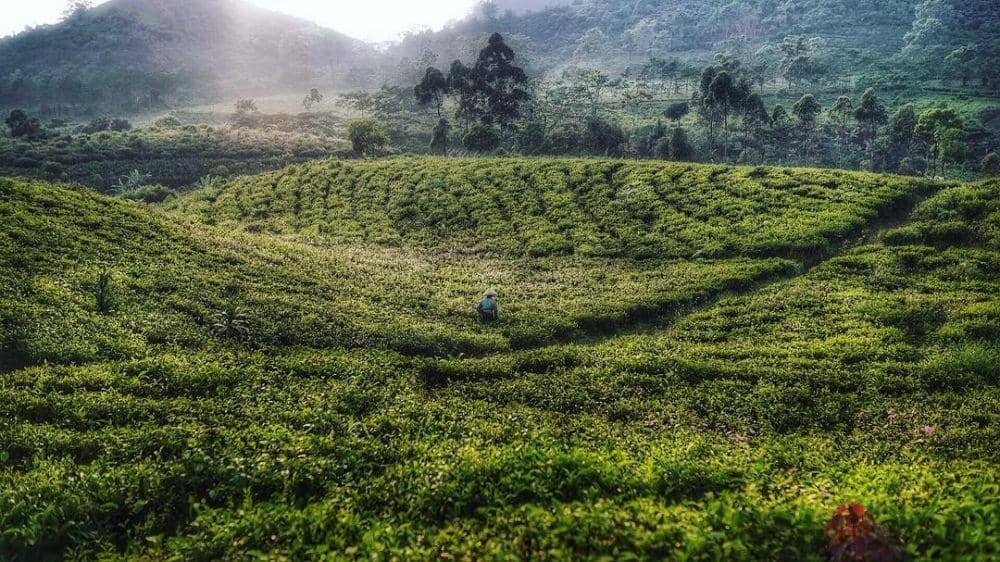 instagram.com/nightowlcinematics