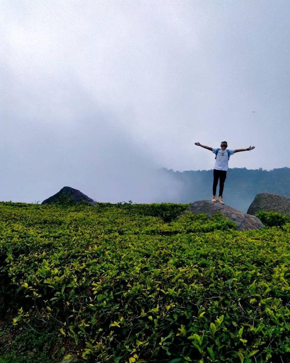 instagram.com/tara_squarepents