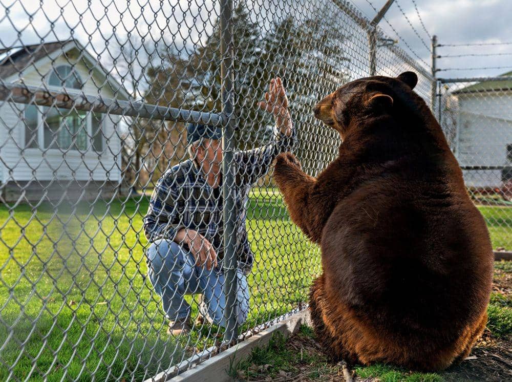 nationalgeographic.com