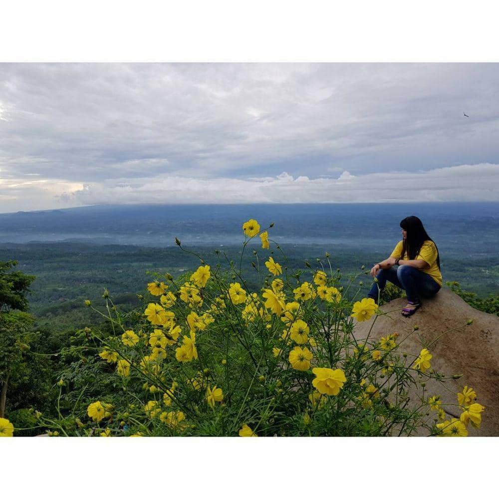 instagram.com/ling2_lina