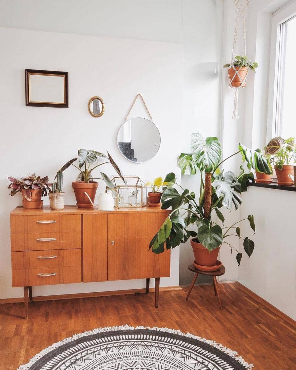 instagram.com/anotherpiasview