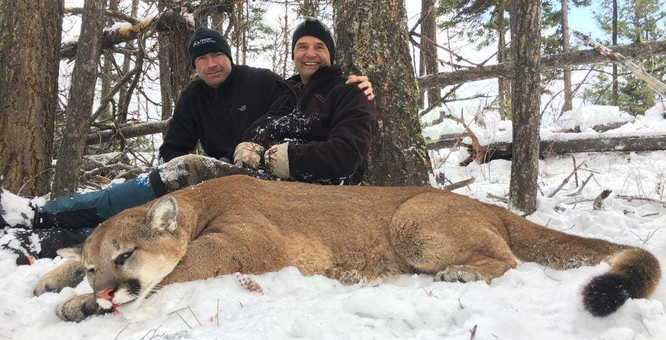 covertoutfitting.com