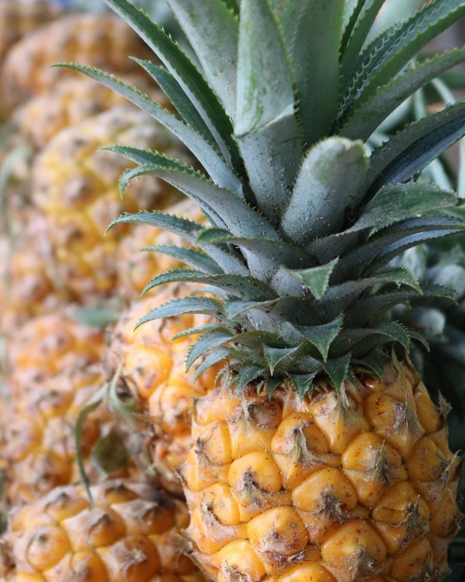 instagram.com/teras_mariarumi