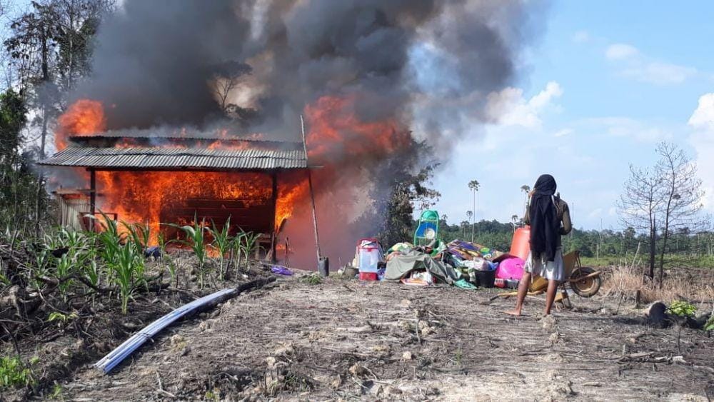 Dok.IDN Times/Istimewa