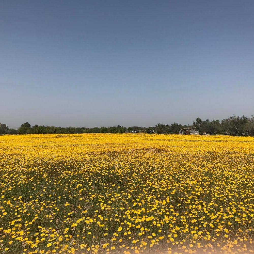 Instagram/@kholoudnassar