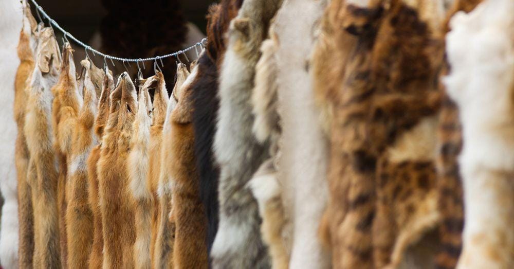 advocacy.britannica.com