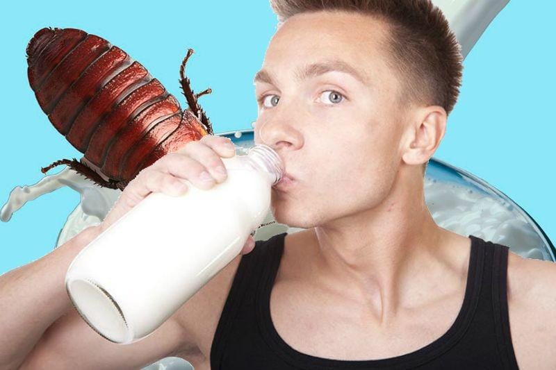 Berbagai sumber/artwork by. IDN Times