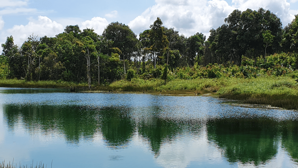 IDN Times/Mela Hapsari