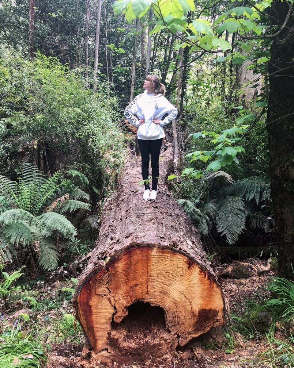 Instagram.com/taylorswift