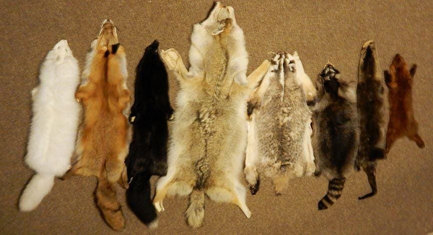 munster.sasktelwebsite.net