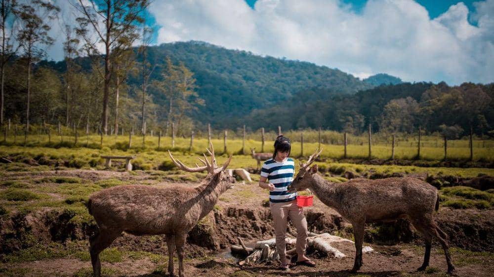 Instagram.com/gritteagathaa