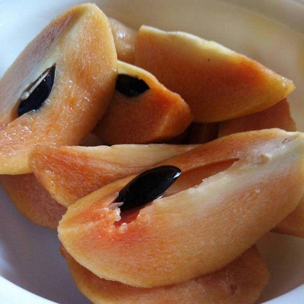 instagram.com/bulibitbuah_dan_pupukbuah