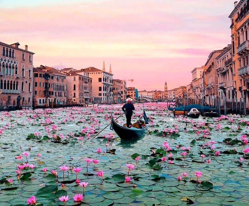 instagram.com/theexpeditionmission