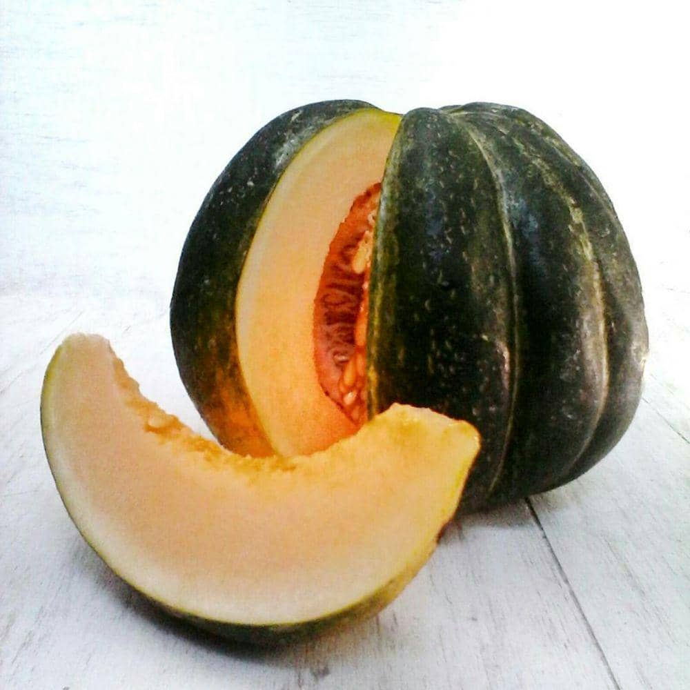 Instagram.com/_ellinda