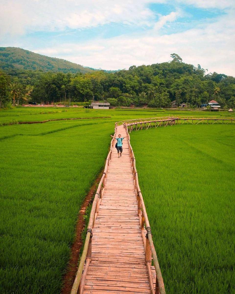 instagram.com/tafakuralam