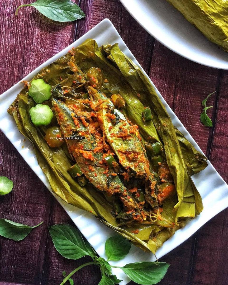 instagram.com/fitrianisamidan