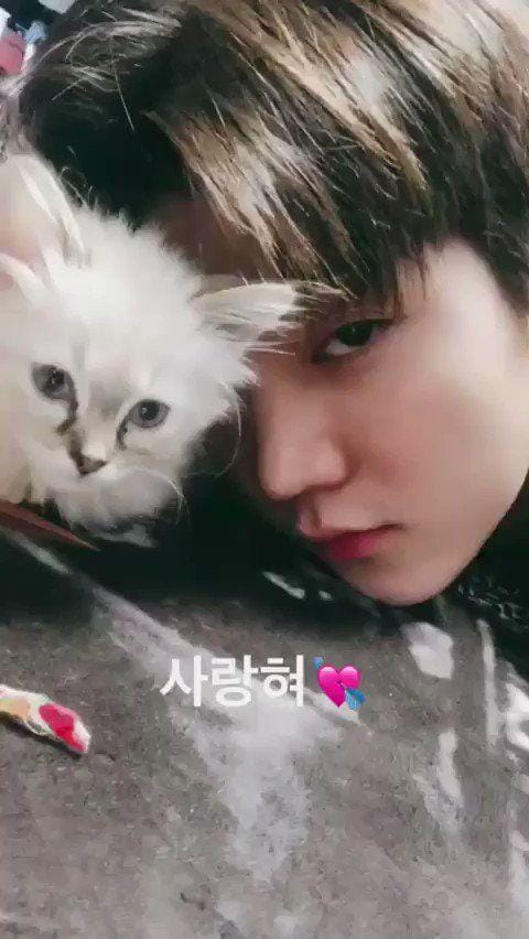 Instagram.com/nuest_official