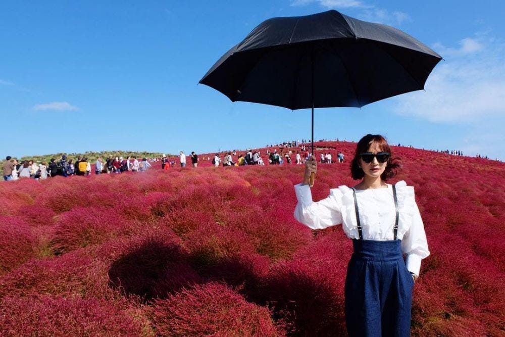 instagram.com/artikasaridevi