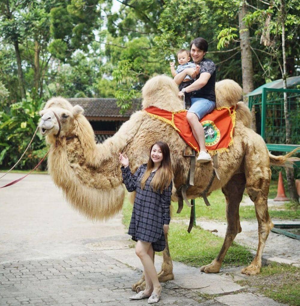 Instagram.com/xxrynisme