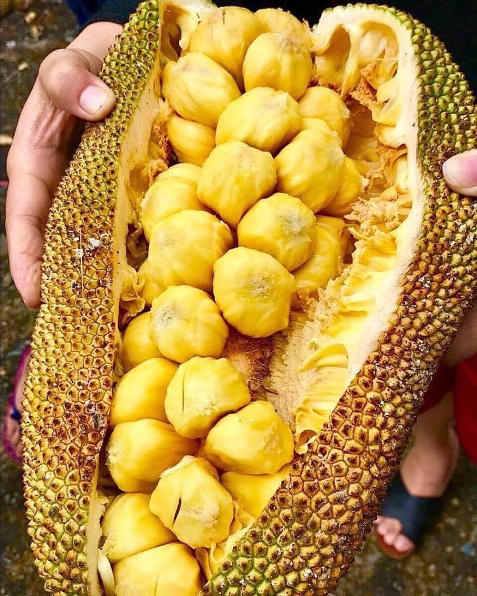 instagram.com/nana_jajan