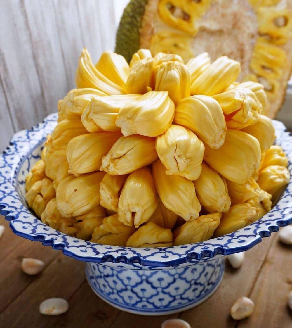 instagram.com/goyajournal