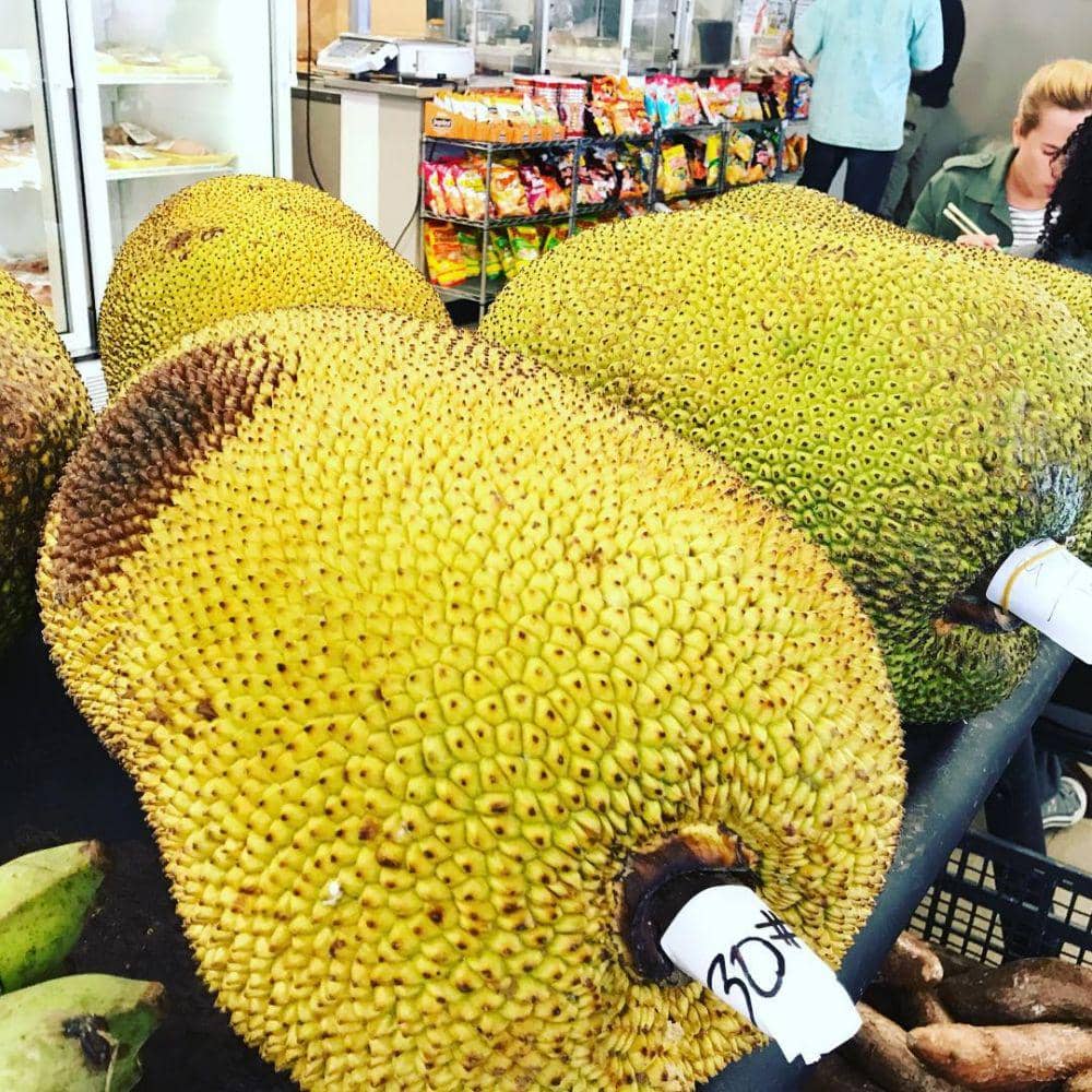 instagram.com/rawtropicalliving