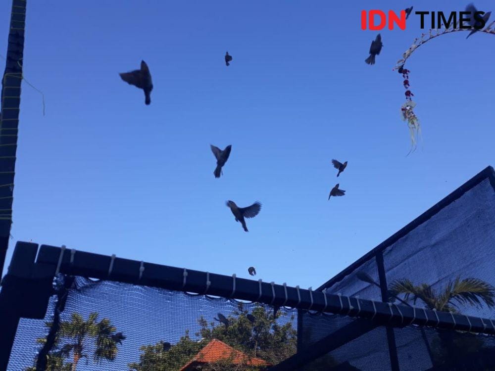 IDN Times/Imam Rosidin