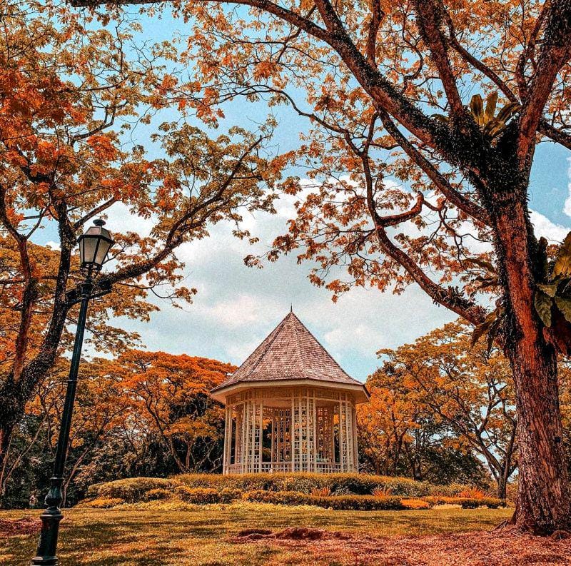 instagram.com/ricejasminee