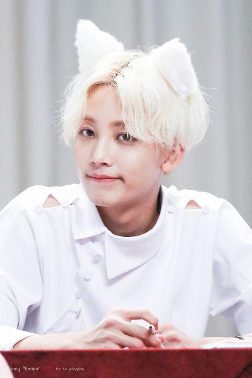 Twitter.com/honeymoment1004