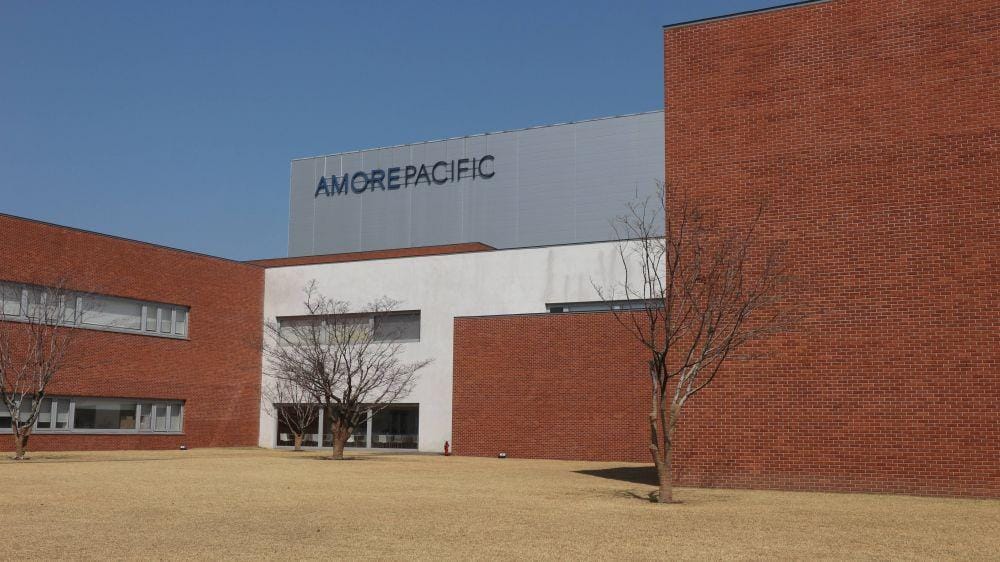 IDN Times/Anastasia Desire