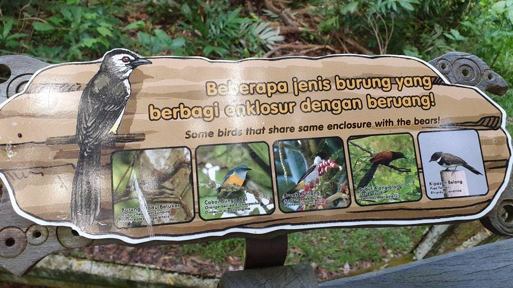 IDN Times/Mela Hapsari