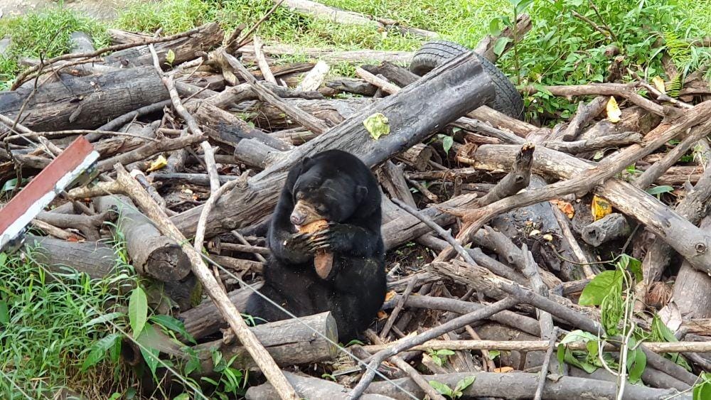 IDN Times/Mela Hapsari